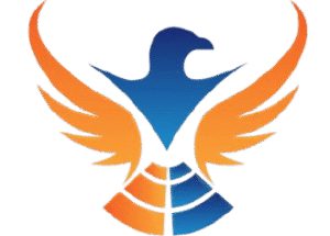 Picture of Written by : Falcon Source Data Team